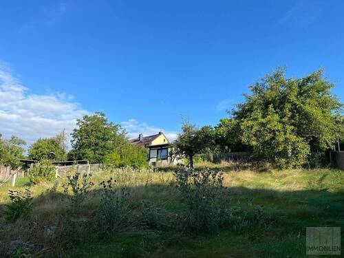 Blick in den Garten - 