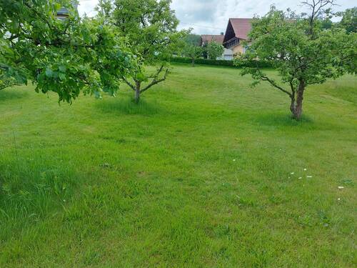Blick in den Garten - Grundstück in Steina zum Kaufen