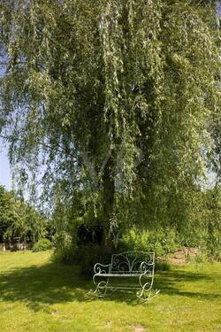 ö Garten - 