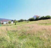 Großes Grundstück mit viel Potenzial in Lothe - Schieder-Schwalenberg