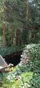 Gartenteich.jpg - 