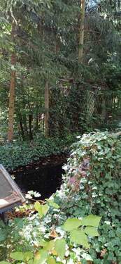 Gartenteich.jpg - 