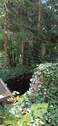 IMG-20250919-WA0004.jpg - 