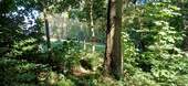 IMG-20250919-WA0005.jpg - 
