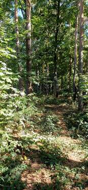 IMG-20250919-WA0006.jpg - 