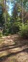 IMG-20250919-WA0017.jpg - 