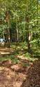 IMG-20250919-WA0016.jpg - 