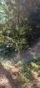 IMG-20250919-WA0013.jpg - 