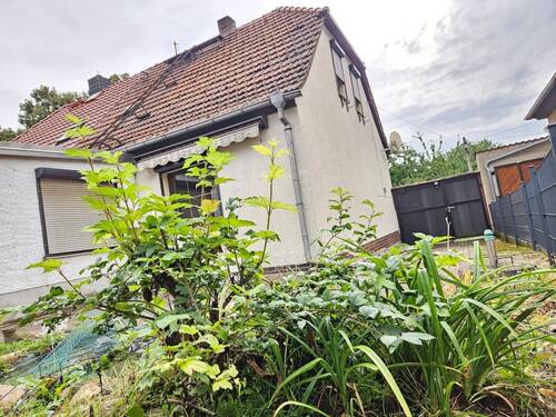 Innenhof mit kleinen Teich - Einfamilienhaus mit 75,00 m&sup2; in Lutherstadt Eisleben zum Kaufen