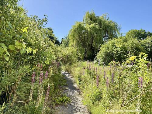 Der Garten zum Haus - 