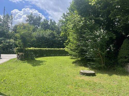 Blick in den Garten - 