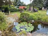 Teich - 