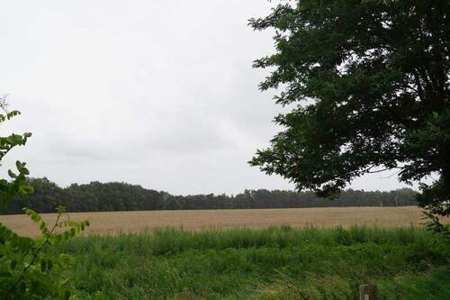 Umgebung - 