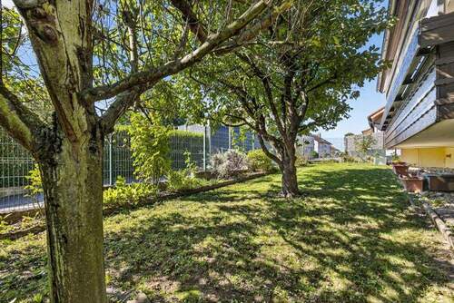 Garten vor dem Haus - 