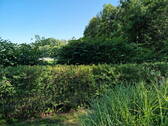 unverbaute Aussicht seitlich - 