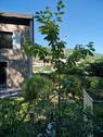 Seitenansicht - 
