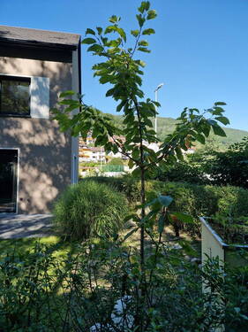 Seitenansicht - 