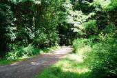 Waldrandlage - 