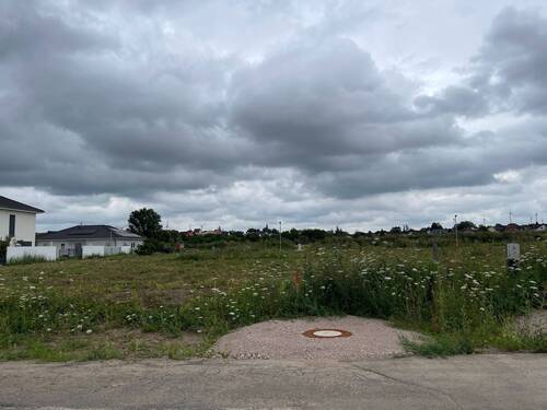 IMG_5809 - Grundstück in Hillesheim