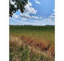 Grundstück in Stadtnähe - 120.000,00&nbsp;EUR Kaufpreis, ca.&nbsp; 0,00&nbsp;m&sup2; in Geithain (PLZ: 04643) Niedergräfenhain