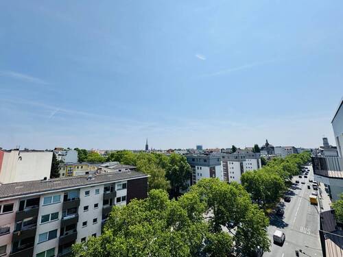 Blick - 