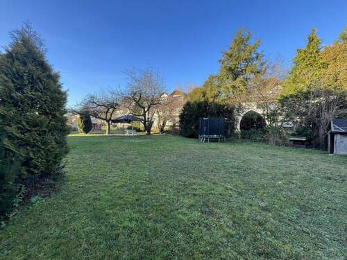 Gemeinschaftsgarten - 