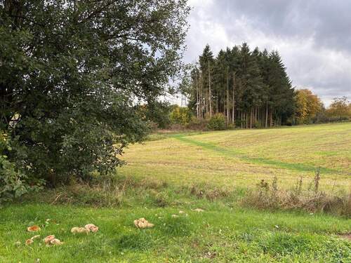 Bild 2 - Grundstück zum Kaufen in Beuren