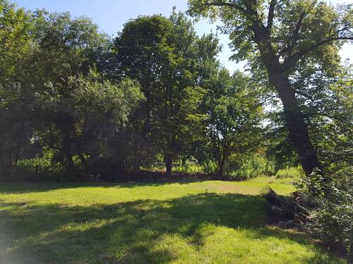 Garten/Grünfläche - 