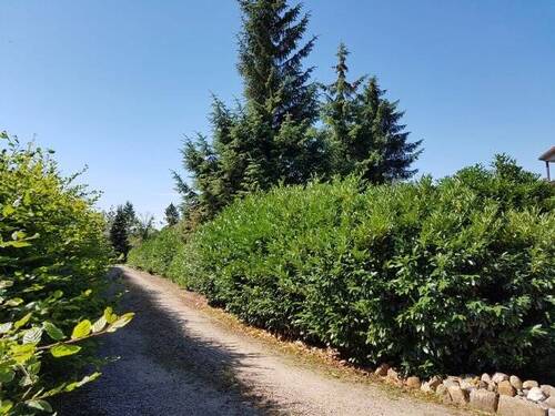 Zufahrt, Blickrichtung Straße - 