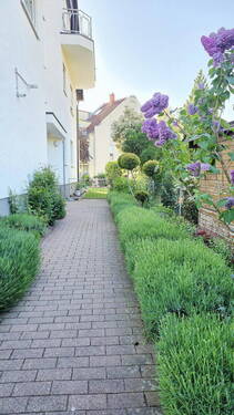 Bild 16 - 