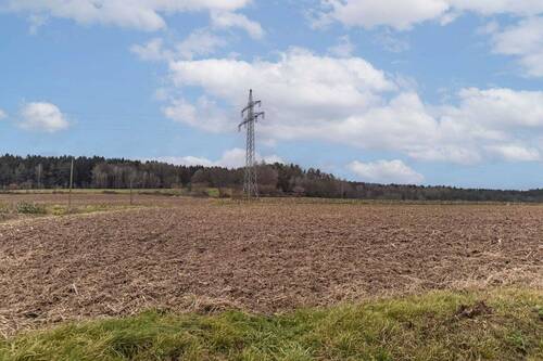 IMG-20241223-WA0000 - Raum für Visionen: Großes Grundstück mit Potenzial für attraktives Wohnbauprojekt