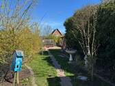 Blick in den Garten - 