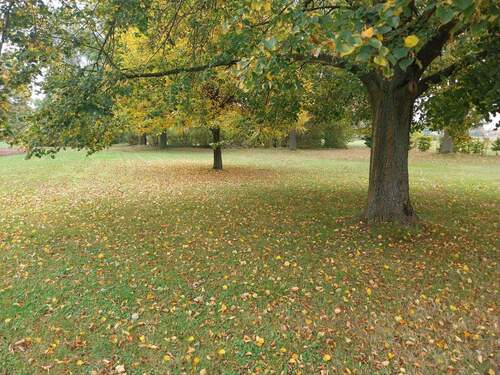Garten - 