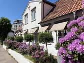 Aussen - Stadthaus mit vielseitigen Nutzungsmöglichkeiten nahe Stadtpark