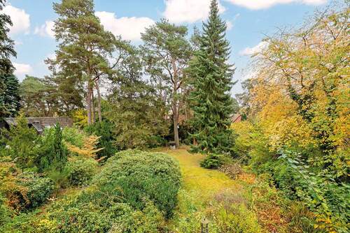 Blick in den Garten - 