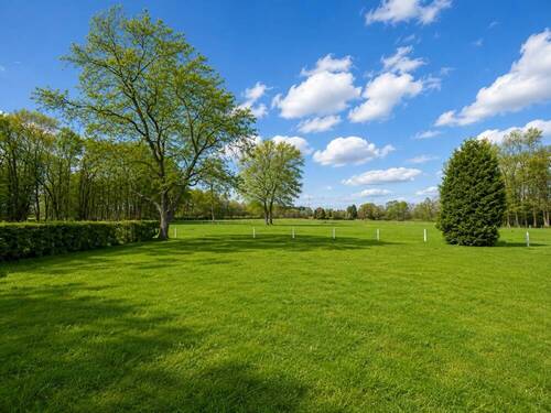 Wiese - 