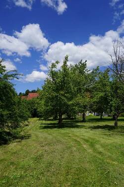Blick zurück zum Haus - 