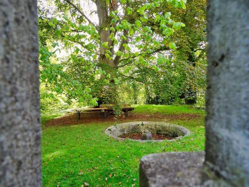 Unter der Blutbuche - 
