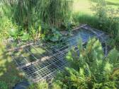 Teich - 