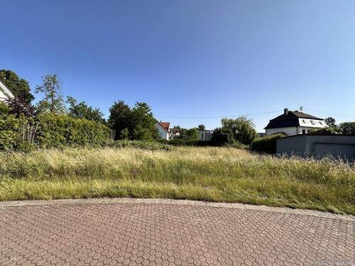 Ansicht frontal - Großes Baugrundstück in schöner Lage