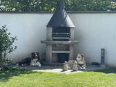 Bild 5 - 