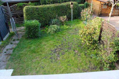 Hausgarten - 