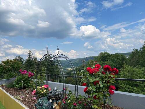 Bild 1 - 4-Zimmer-Terrassenwohnung mit riesiger 90 m² Terrasse, Garage & Reihenhaus-Charakter