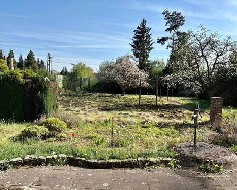 WhatsApp Bild 2025-04-19 um 17.15.31_b326ff6b.jpg - Traumgrundstück im Grünen! Mit positven Bauvorbescheid!