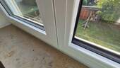 Fenster 2022 - 