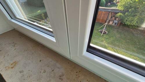 Fenster 2022 - 