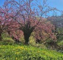 Doppelgarage mit zwei Stellplätzen in Freiburg - Schwarzwaldstraße 15, Nahe Schwabentor & Dreisam
