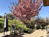 Terrassenbereich - 