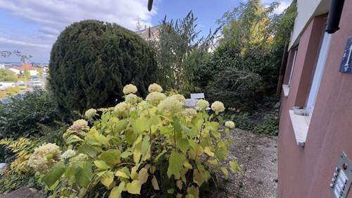 Bild 17 - 