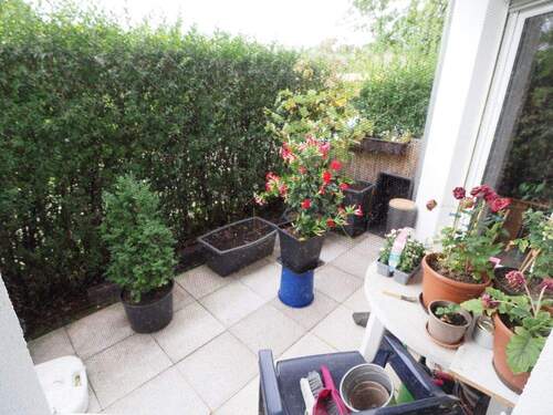 Terrasse - 